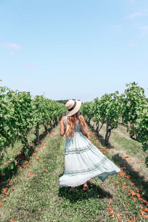 Best Vineyards on Long Island, NY (Near NYC From a Local) Find Love