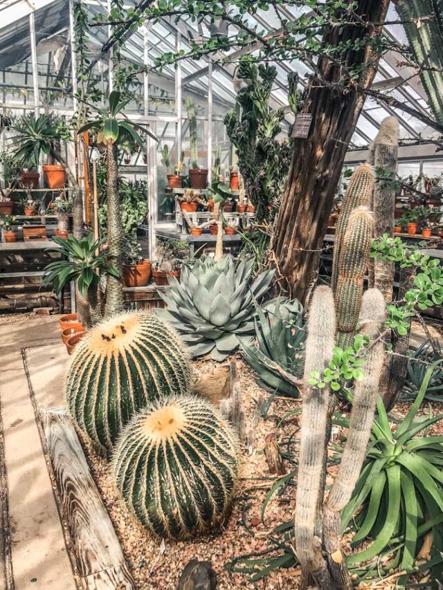 Beautiful Gardens on Long Island, NY You Should Visit Find Love and