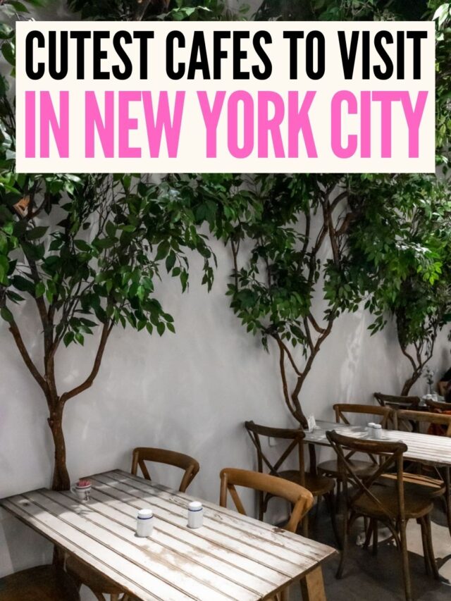 Cute Cafes In New York Find Love Travel