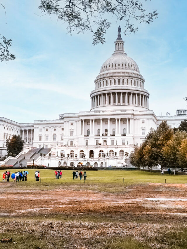 Washington DC Fun Free Things to Do Find Love and Travel