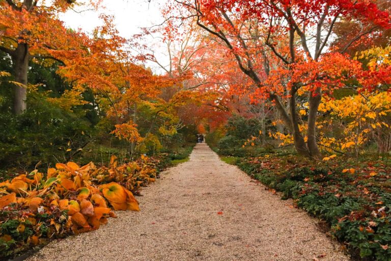 15+ Fun Fall Activities on Long Island New York (From a Local) Find