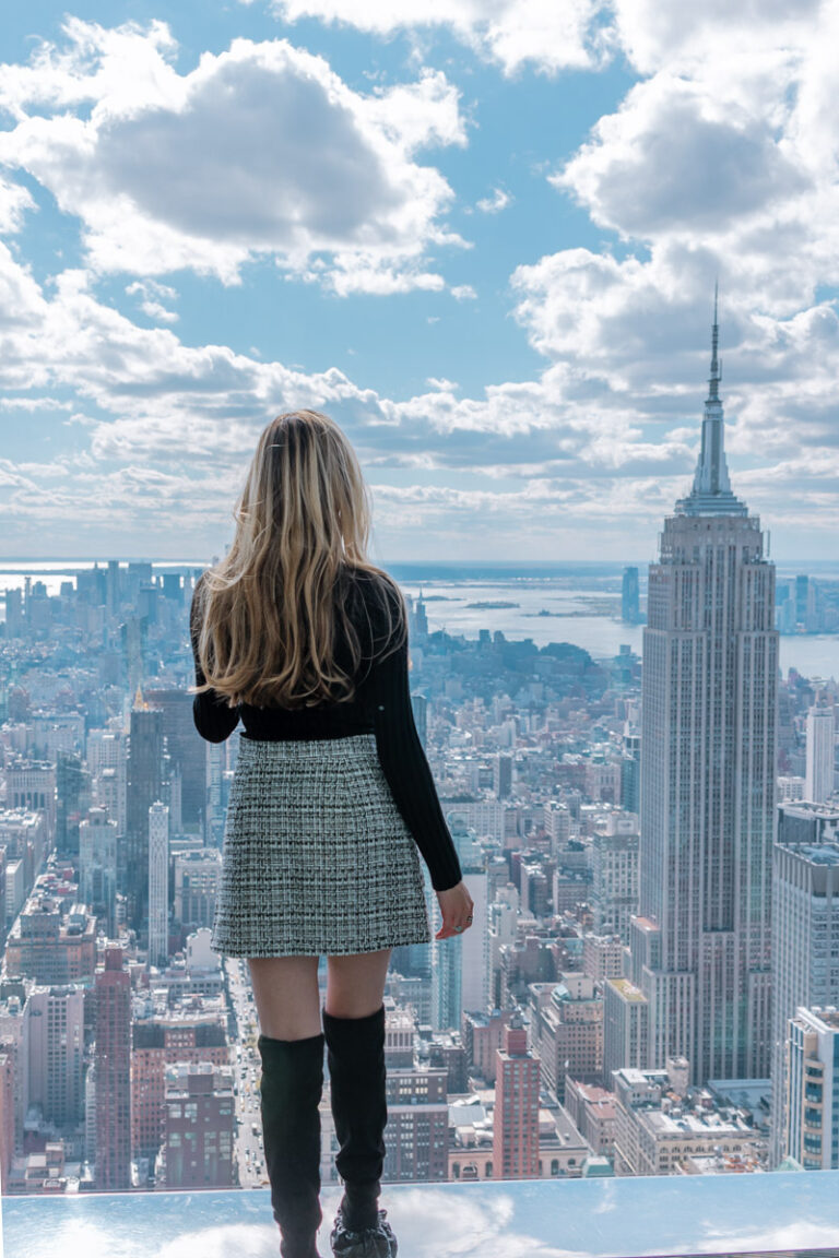 SKY VIEWS IN NYC visual data 6