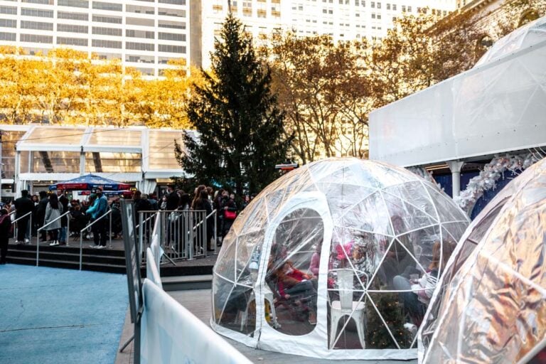 35 Fun Things to Do in New York City in Winter (Travel Tips From A