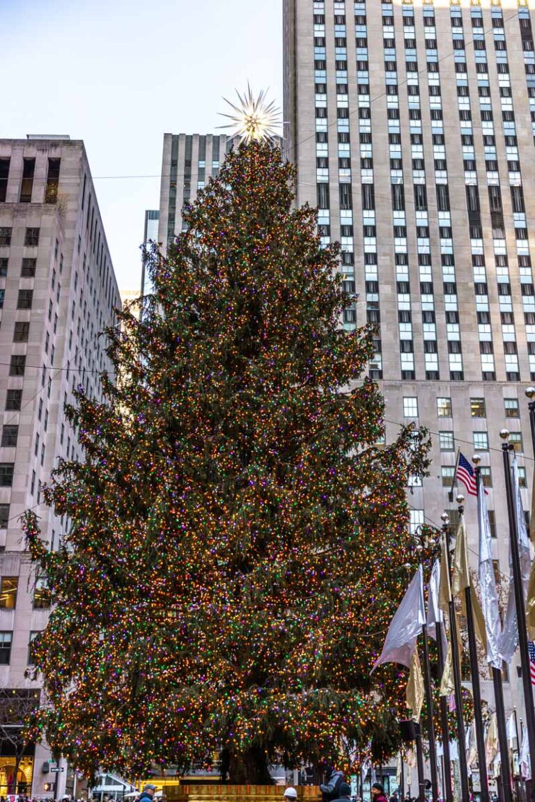 Top Christmas Things To Do In Nyc 